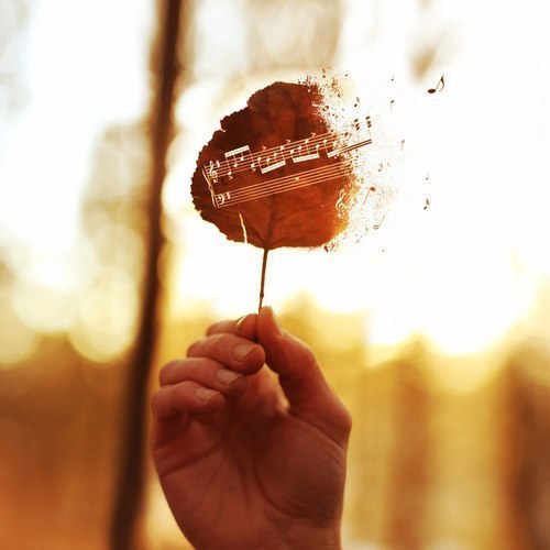 Joel Robison.jpg Joel Robison.jpg